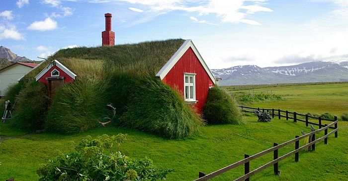 ¿Por qué no hay hormigas en Islandia? - viajar-a-islandia-islandia-a-tu-aire