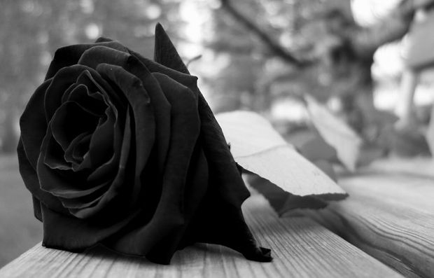 Ocho de cada diez personas viudas son mujeres: INEGI - viuda2