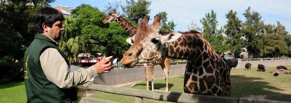 Cierran Zoológico de Buenos Aires luego de 141 años de servicio