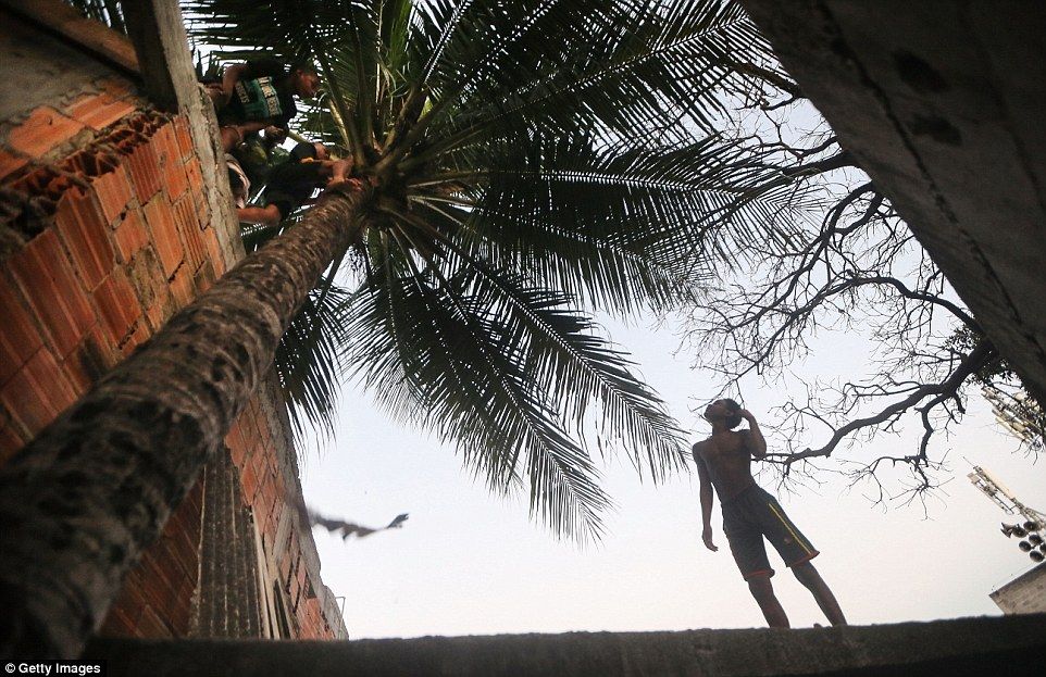 La sombra de los Juegos Olímpicos de Río 2016 - 363F556F00000578-0-image-a-158_1468480971758