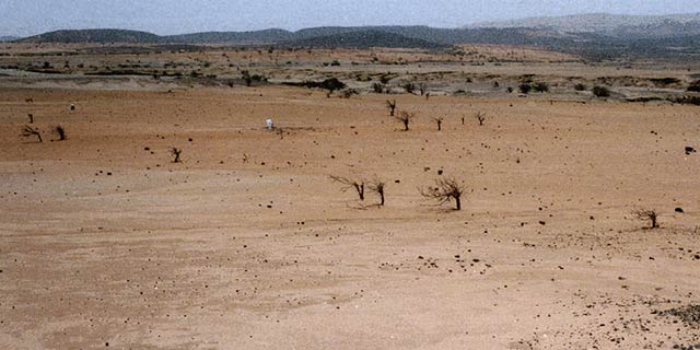 Padecerán crisis alimentaria 60 millones de personas por cambio climático: ONU