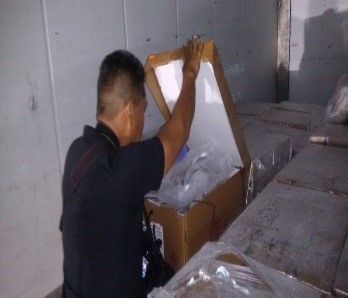 Aseguran más de dos toneladas de pepino de mar en Quintana Roo - FOTO-1