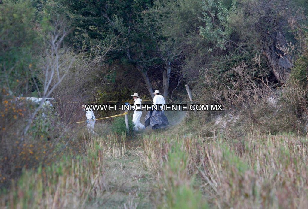 Localizan siete cadáveres en fosas clandestinas en Manzanillo - Fosas-Manzanillo-1024x696