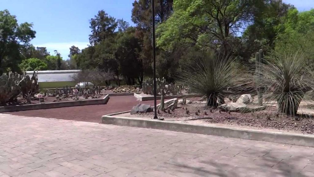 Picnic Nocturno y Jazz en vivo en el Jardín Botánico de Chapultepec - Jardín-Botánico-Chapultepec-1024x576