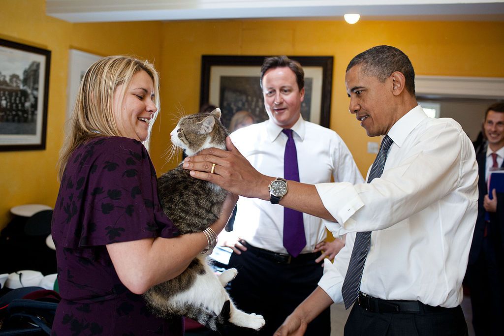 David Cameron abandonará a su gato al dejar Downing Street - Larry-The-cat-Cameron-Obama-Pete-Souza