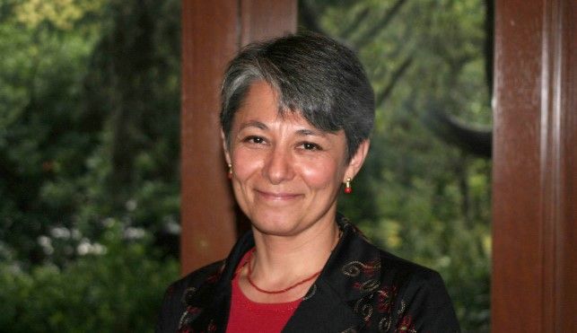 Mexicana se encargará de comunicación del papa Francisco