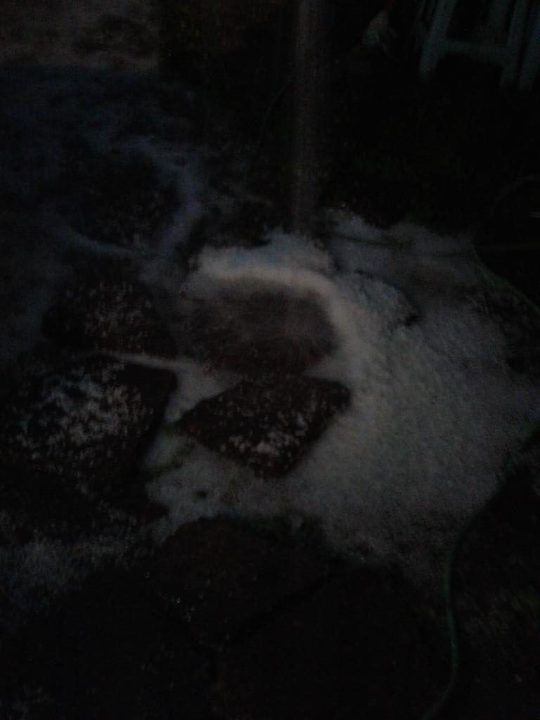 Fuertes lluvias en la Ciudad de México - Magdalena-Contreras-768x1024