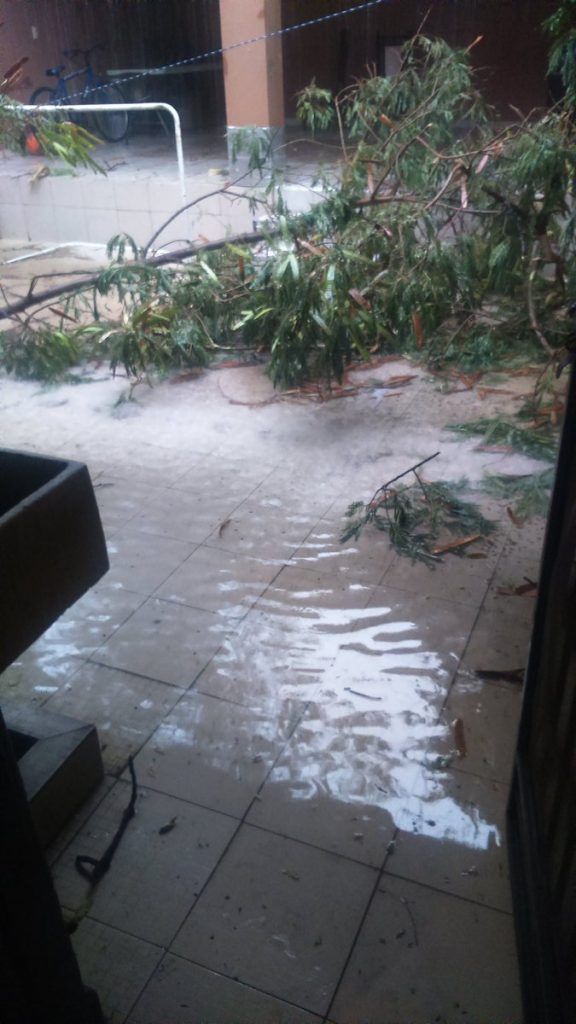 Fuertes lluvias y vientos causan destrozos en Monterrey - Monterrey-Gil_Arc9-576x1024