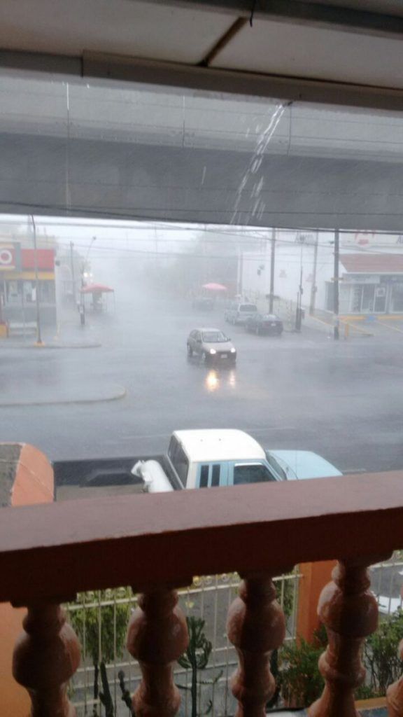 Fuertes lluvias y vientos causan destrozos en Monterrey - Monterrey-denissemesta-576x1024