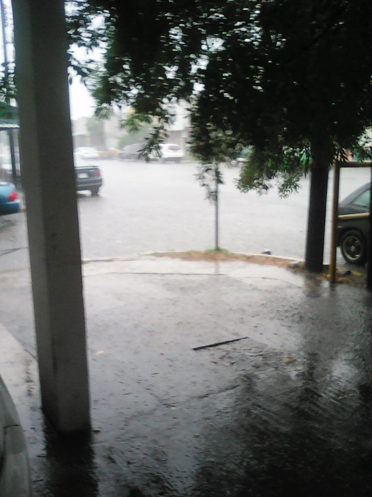 Fuertes lluvias y vientos causan destrozos en Monterrey - Monterrey-marquestopochic-768x1024