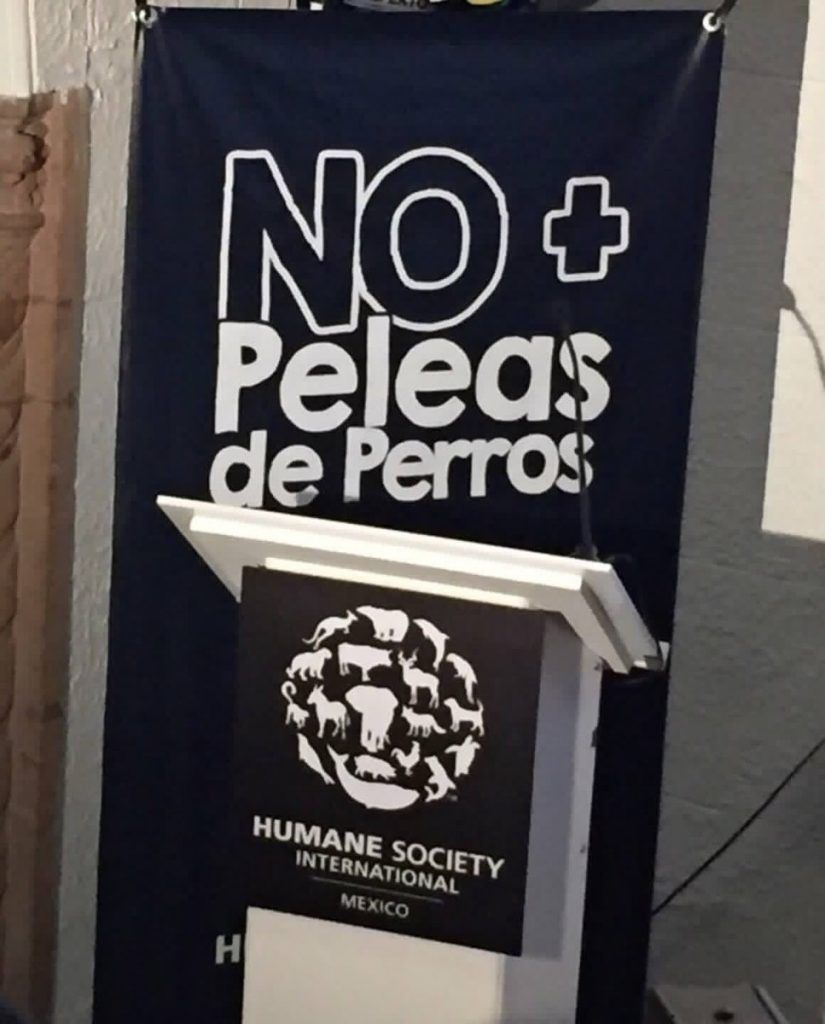 Castigarán peleas de perros en la Ciudad de México - Peleas-de-perros-3-825x1024