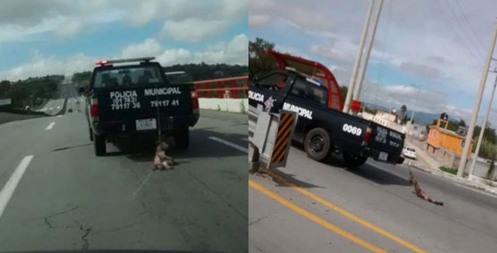 Imágenes: patrulla arrastra a perro por la carretera - Perro-Hidalgo-1024x521