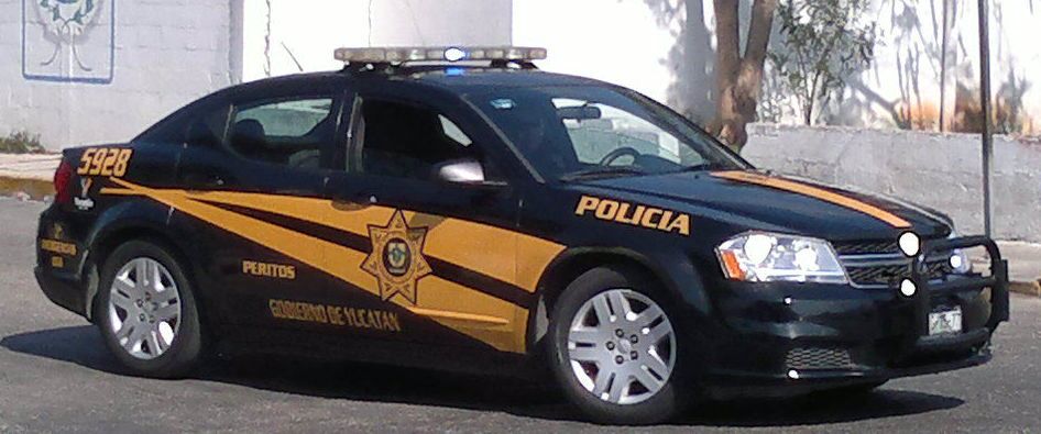 Encuentran siete cráneos humanos en Mérida