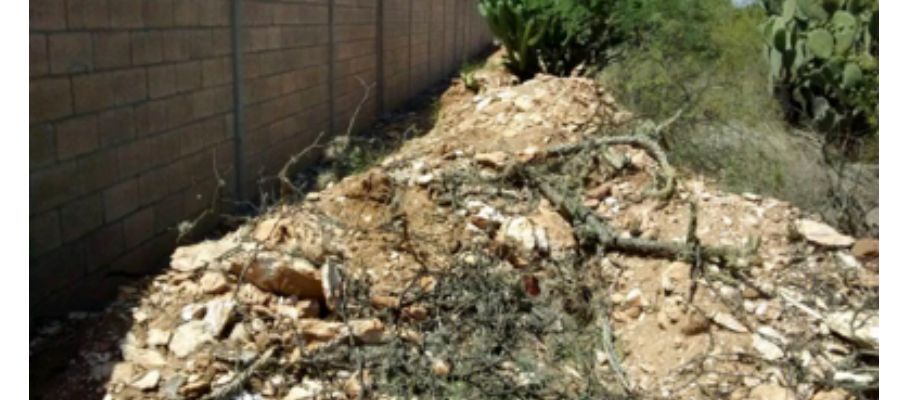 Suspende Profepa construcción de fraccionamiento en San Luis Potosí