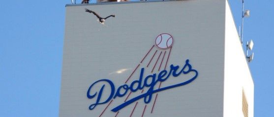 Águila calva se escapa durante celebración de los Dodgers