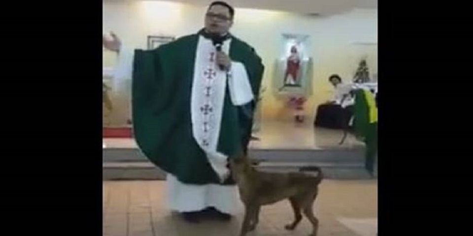 #Viral perro irrumpe en medio una de misa #Viral perro irrumpe en medio una de misa