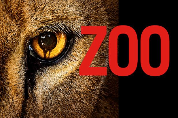 Las celebridades mejor pagadas del 2016 - Zoo_horizontal