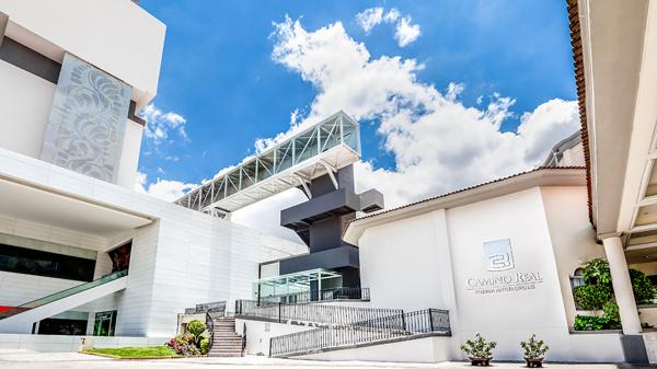 Roban a Selección de Argentina en Puebla - camino-real