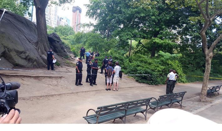 Explosión en Central Park - central-park-herido