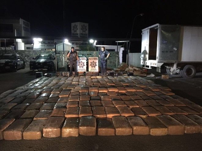 Autoridades federales decomisarón 12 mil kilogramos de droga en agosto - droga-tonelada-galeana-NL-yadithvaldez