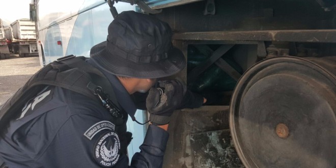 Decomisan más de 140 kilos de droga en Morelos