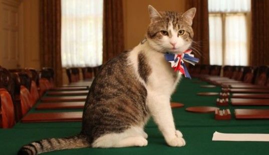 David Cameron abandonará a su gato al dejar Downing Street - gato-Larry