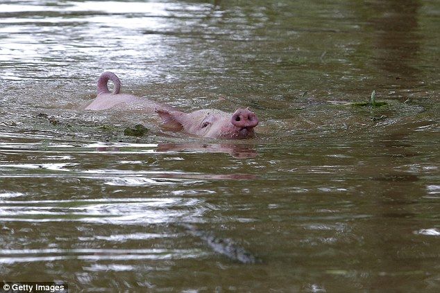 Lluvias inundan estadio de futbol en China - inundaciones-china-4