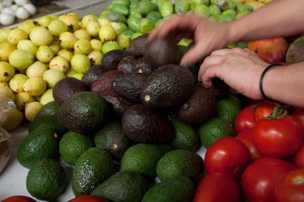 Aguacate registra mayor variación de precios en el país - iquality-1024x683