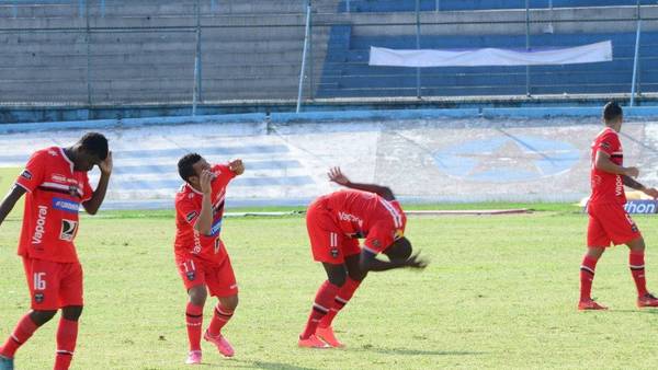 Video: suspenden partido de futbol en Ecuador por ataque de abejas