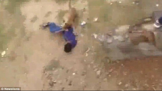 Video: leopardo ataca villa en la India con un saldo de 10 heridos - leo-2