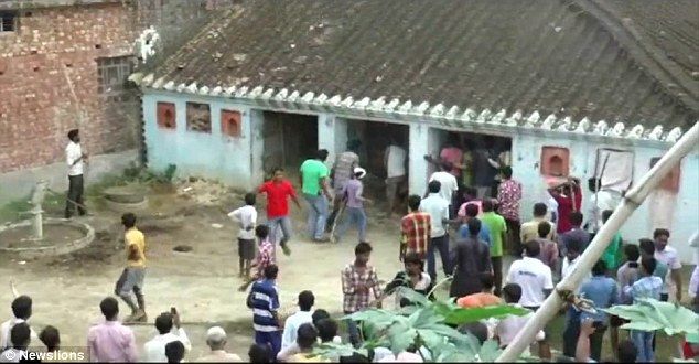 Video: leopardo ataca villa en la India con un saldo de 10 heridos - leo3