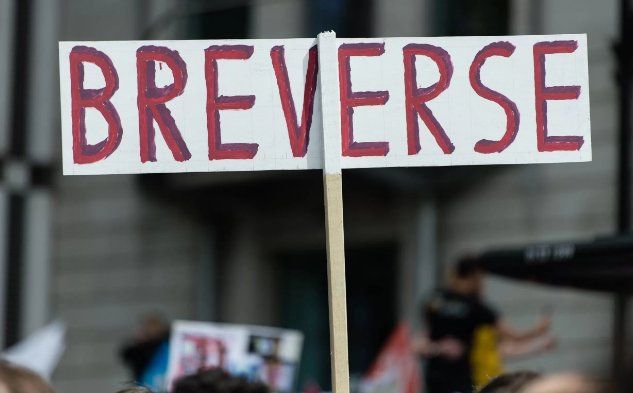 Miles de británicos protestan contra el 'Brexit' - marcha-por-europa-3