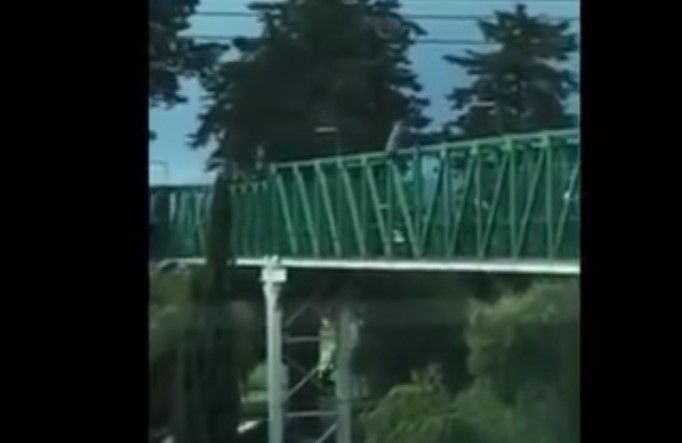 Video: mujer se arroja de puente peatonal en Toluca