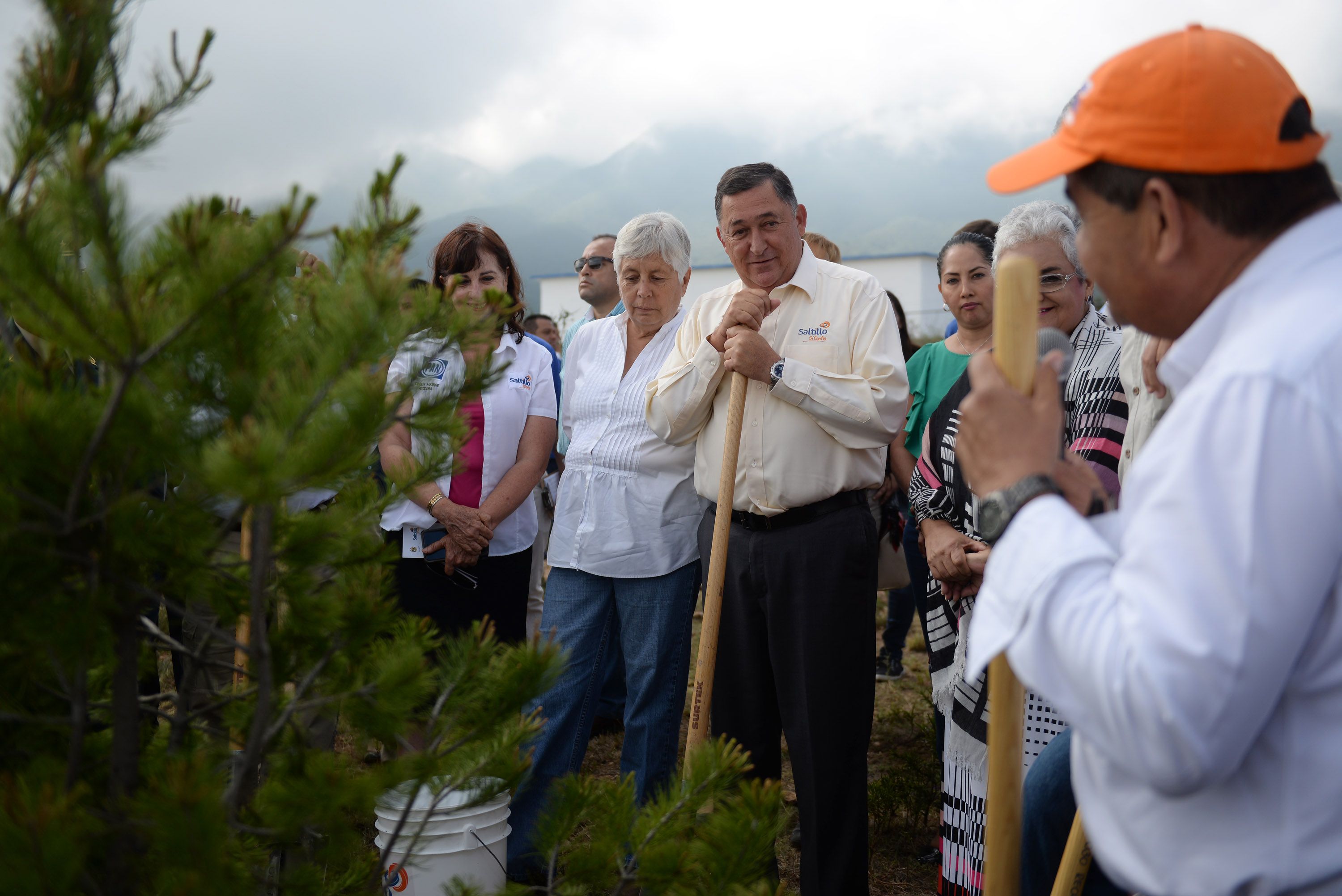 Plantarán 8 mil árboles en Saltillo - muro-verde-saltillo