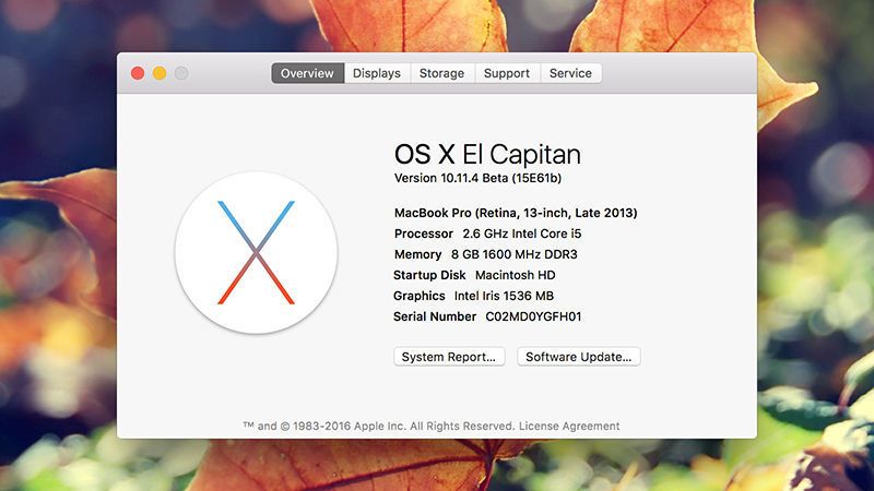 Consejos para mejorar la velocidad de tu Mac - os-x