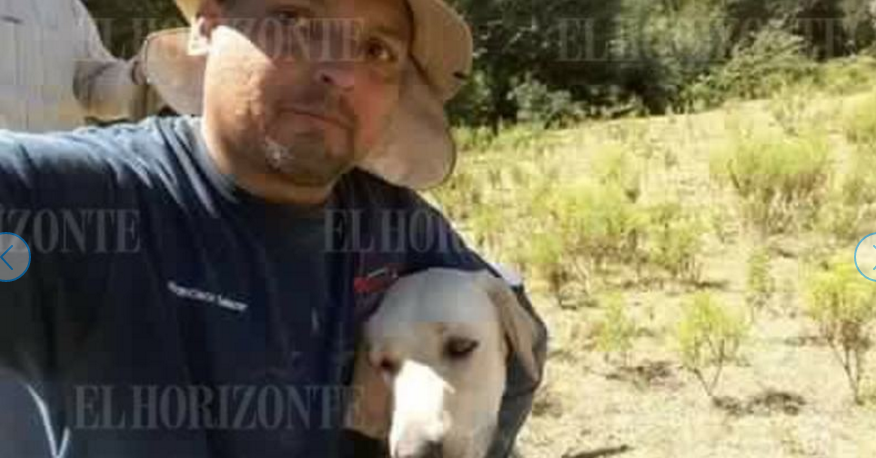 Un perro cuidó de un niño perdido en Nuevo León - perro-max