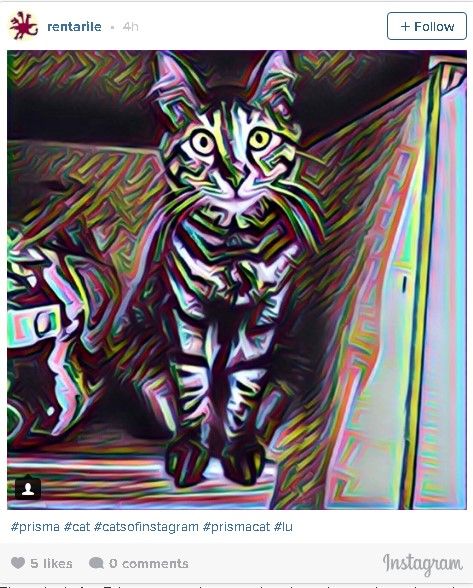 ‘Prisma’ convierte tu foto en una obra de arte - prisma-1