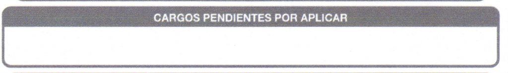 ¿Cómo interpretar el recibo de la luz? - recibo-de-la-luz-reverso-cargos-pendientes-1024x147