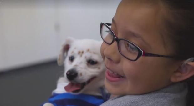La niña sorda que se comunica con su cachorro usando señas