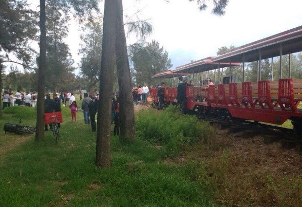 Ocho heridos por descarrilamiento de tren en Bosque de Aragón