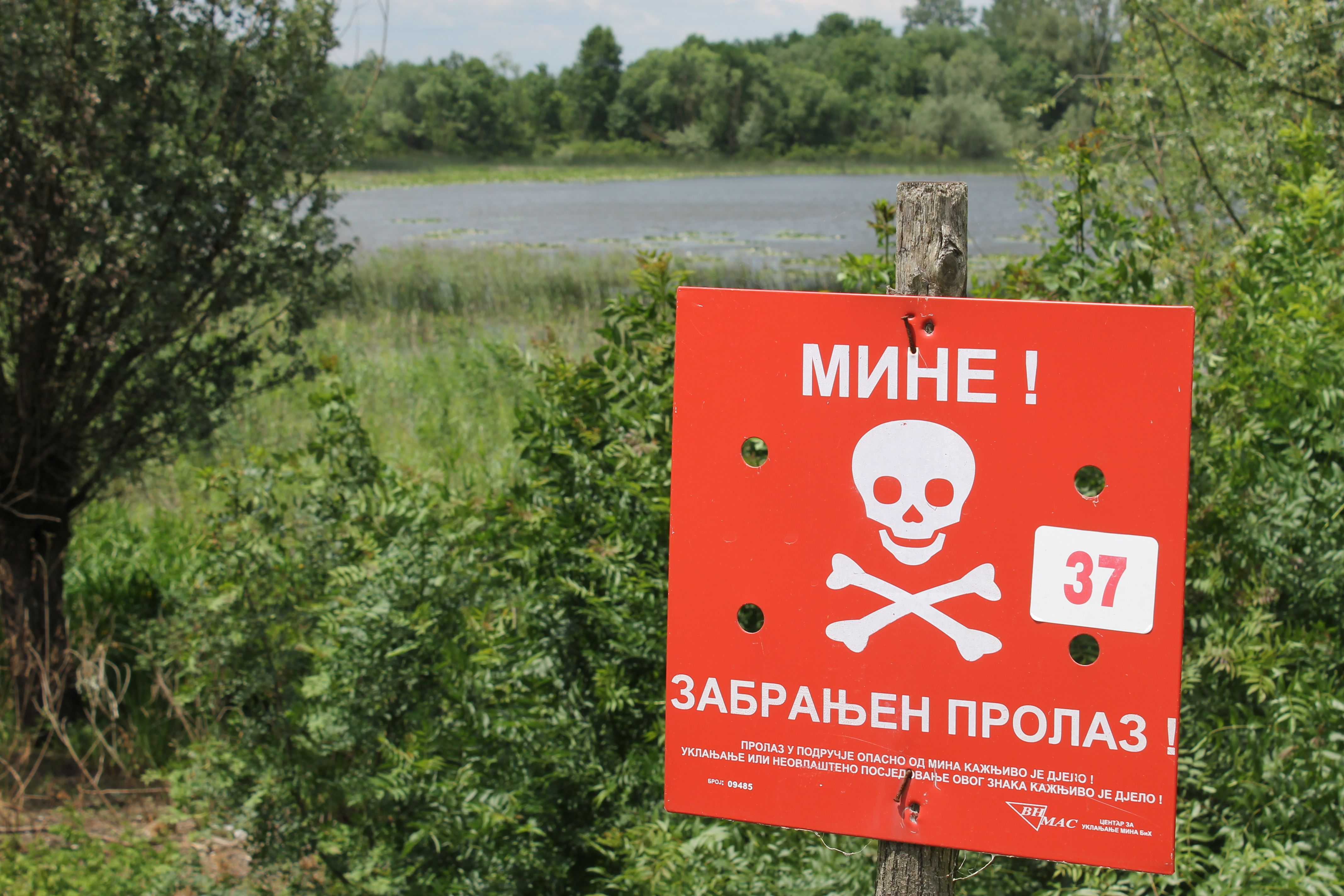 Juegan Pokémon Go en campos minados - zona-minada-bosnia