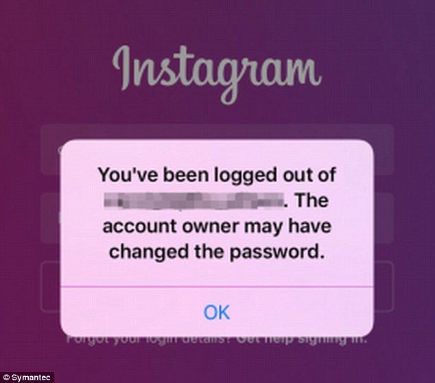 Hackers se están apoderando de perfiles de Instagram. Suben fotos pornográficas - 371DA4C200000578-0-image-a-2_1470932032882