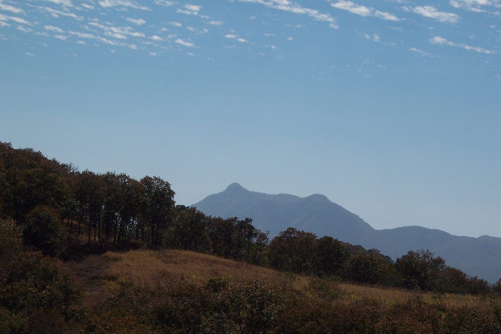 Los 10 mejores destinos ecoturísticos en México en 2016 - 4-Compostela-Nayarit-1024x683