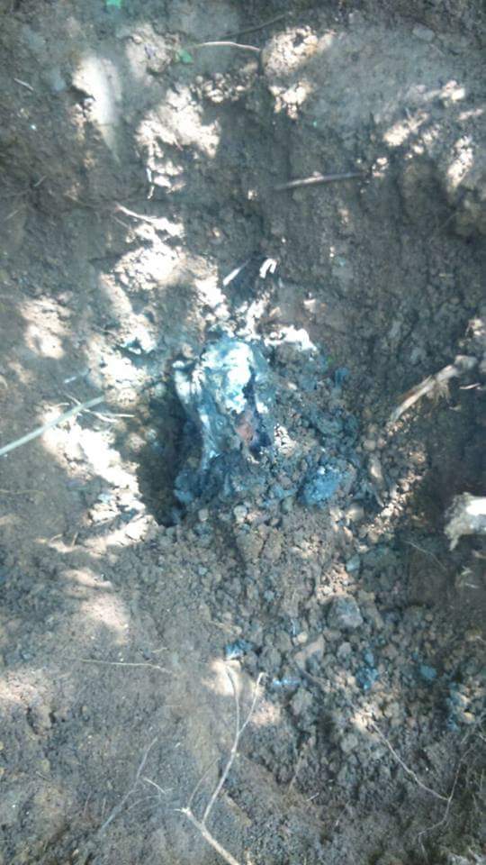 Hallan 3 cuerpos en fosas clandestinas en Acapulco - 59ddde77-3110-4151-9176-c042a1101478