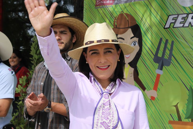 Más de 4 mil hectáreas afectadas en Hidalgo por Cambio Climático - 8