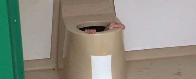 Bomberos rescatan en Noruega a hombre atorado en escusado