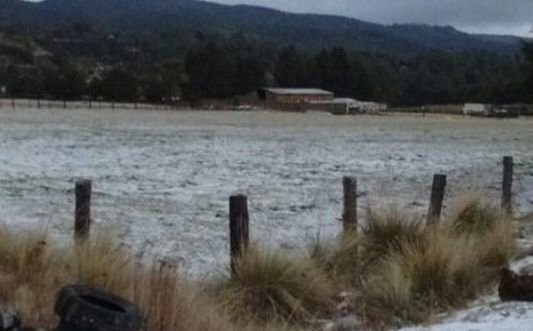 Cae aguanieve en el Ajusco