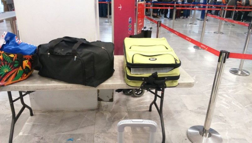 Detienen a presunto traficante de aves en el AICM