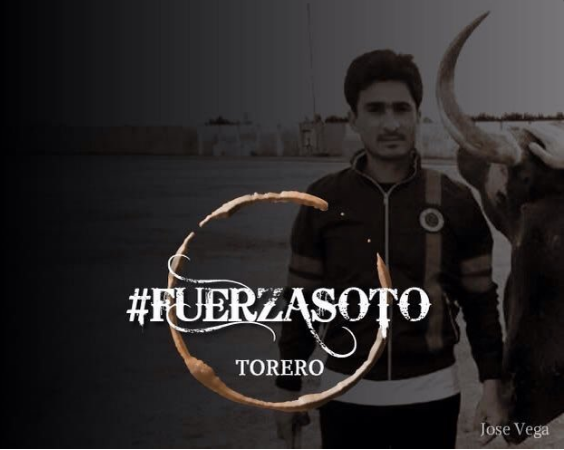 Banderillero pierde una pierna tras cornada - Captura-de-pantalla-2016-08-26-a-las-13.59.29