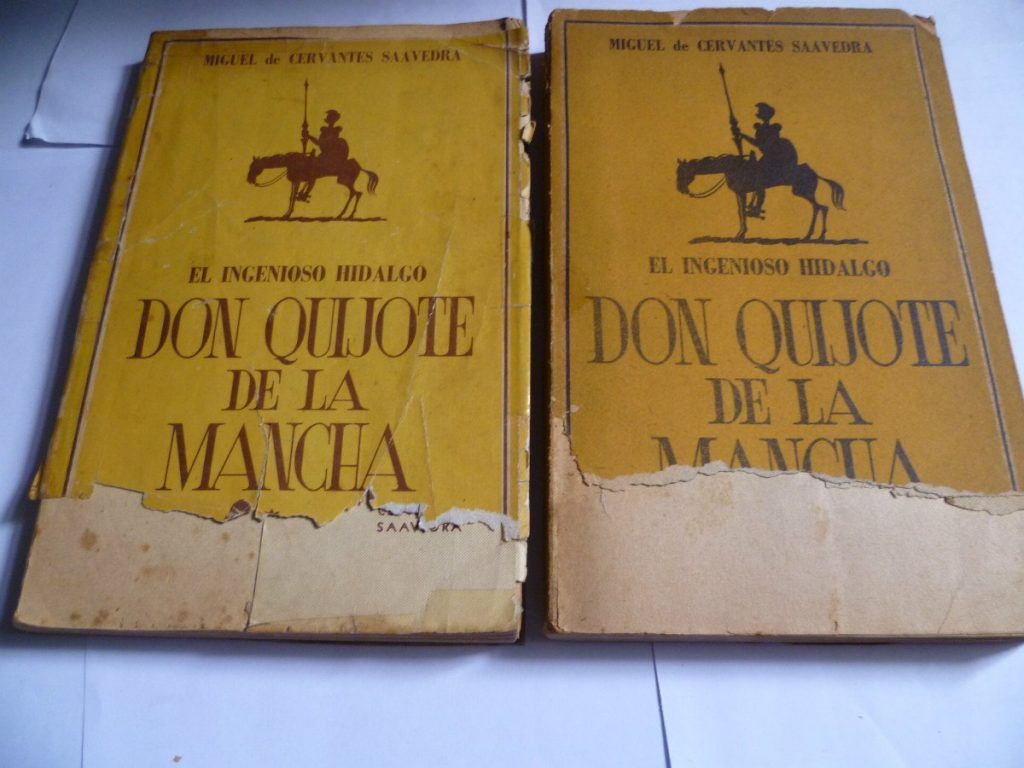 El Festival Cervantino busca booktubers - El-Ingenioso-Hidalgo-don-Quijote-de-la-Mancha-1024x768